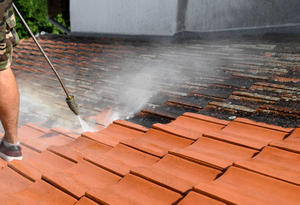 Professional Pressure Washing in Panama City, FL
